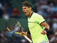 28圈娱乐-包含纳达尔赛事官方发布势不可挡新规，曼联争议不断！的词条